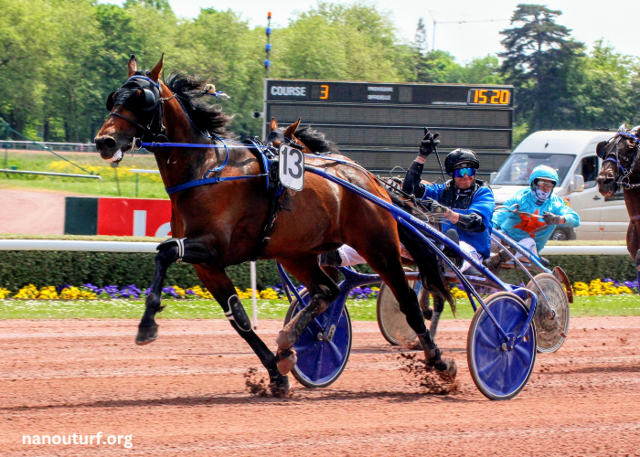 Societe Turf Trio