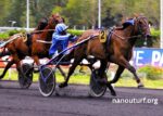 Canalturf Du Jour