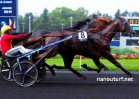 Lingodor Turf 2019