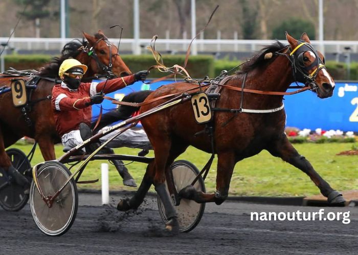 Pronostic Pmu Quinté Du Jour Pronostic Pmu Quinté Du Jour