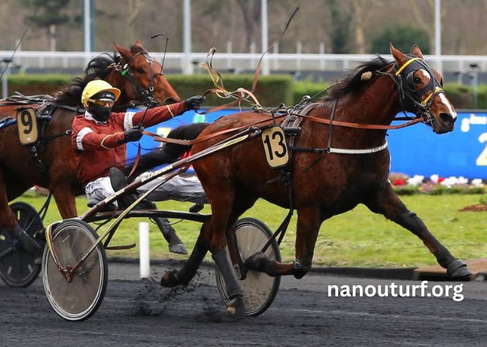 Turf Magique 3 Bases Turf Magique 3 Bases