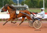 Geny Gagnant Miroir