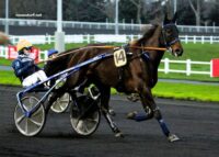 Equidia Turf Pronostic